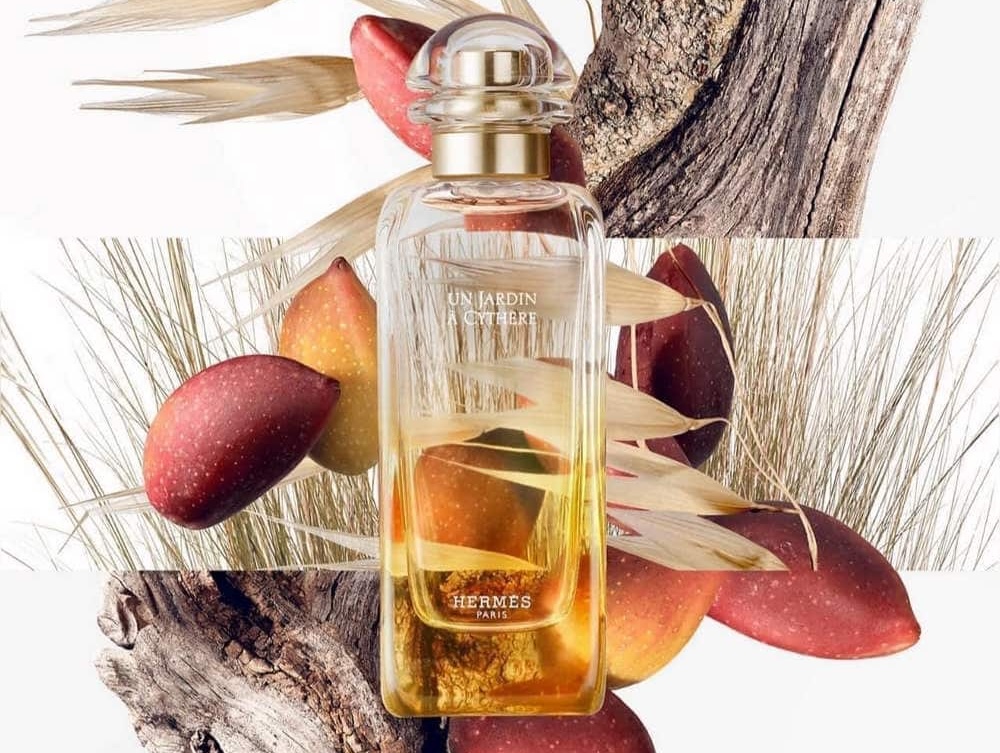 Hinh anh 2: Sua Tam Xa Xi - Nang Tam Trai Nghiem Cham Soc Da