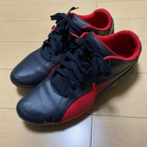 Giay Puma Scuderia Ferrari Drift Cat 'Black Red' 305824-01