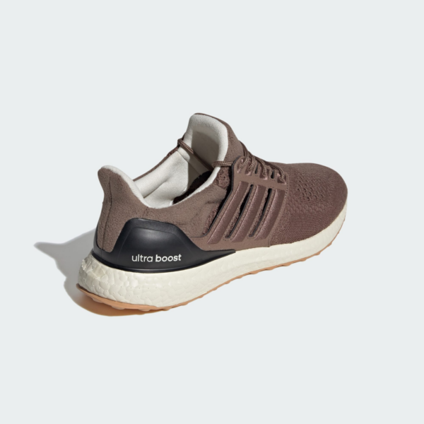 Giay Adidas UltraBoost 1.0 'Earth Strata' ID9677