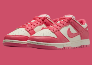 Giay Nike Dunk Low Next Nature 'Aster Pink' DD1873-600