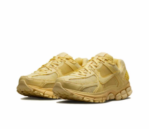 Giay Nike Zoom Vomero 5 'Saturn Gold' FQ7079-700