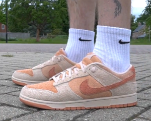 Giay Nike Dunk Low 'Burnt Sunrise' HF5075-287