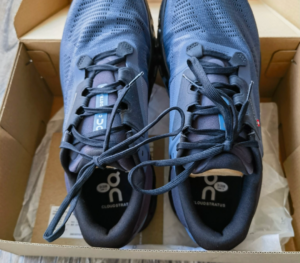 Giay On Running Cloudstratus 3 'Metal Wisteria' 3MD30111234