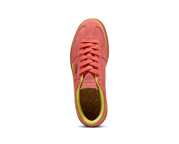 Giay Puma Palermo 'Salmon Lime Sheen' 396463-22