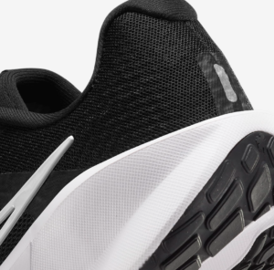 Giay Nike Downshifter 13 'Black White' FD6476-001