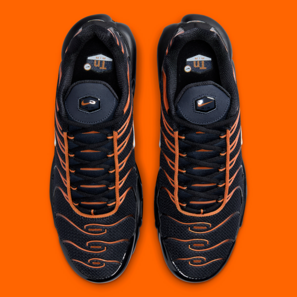 Giay Nike Air Max Plus 'Dark Obsidian Orange' FN6949-400