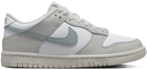 Giay Nike Dunk Low GS 'Light Silver' FB9109-109