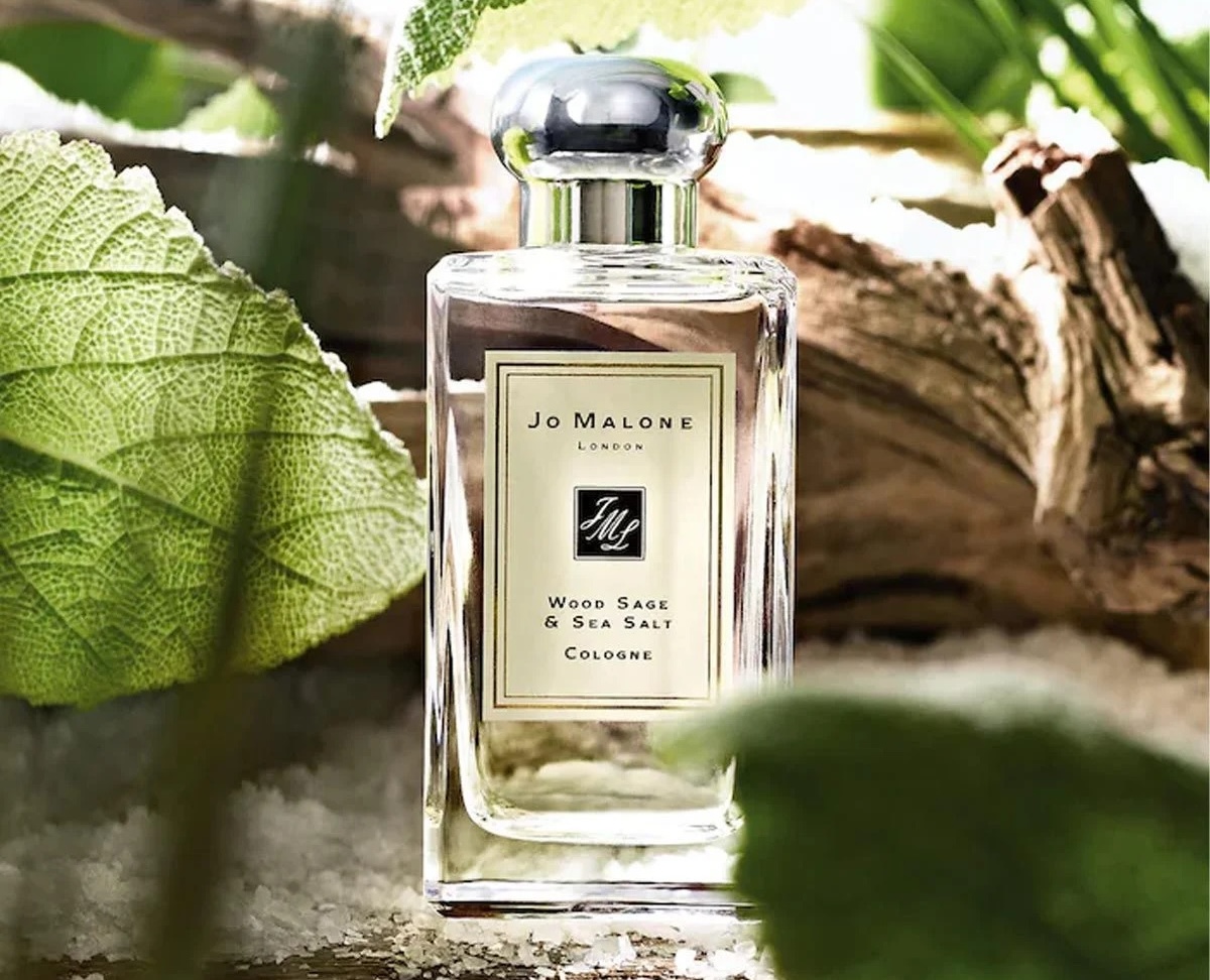 Hinh anh 7: 6 lua chon nuoc hoa hoan hao de ban toa sang trong mua thu