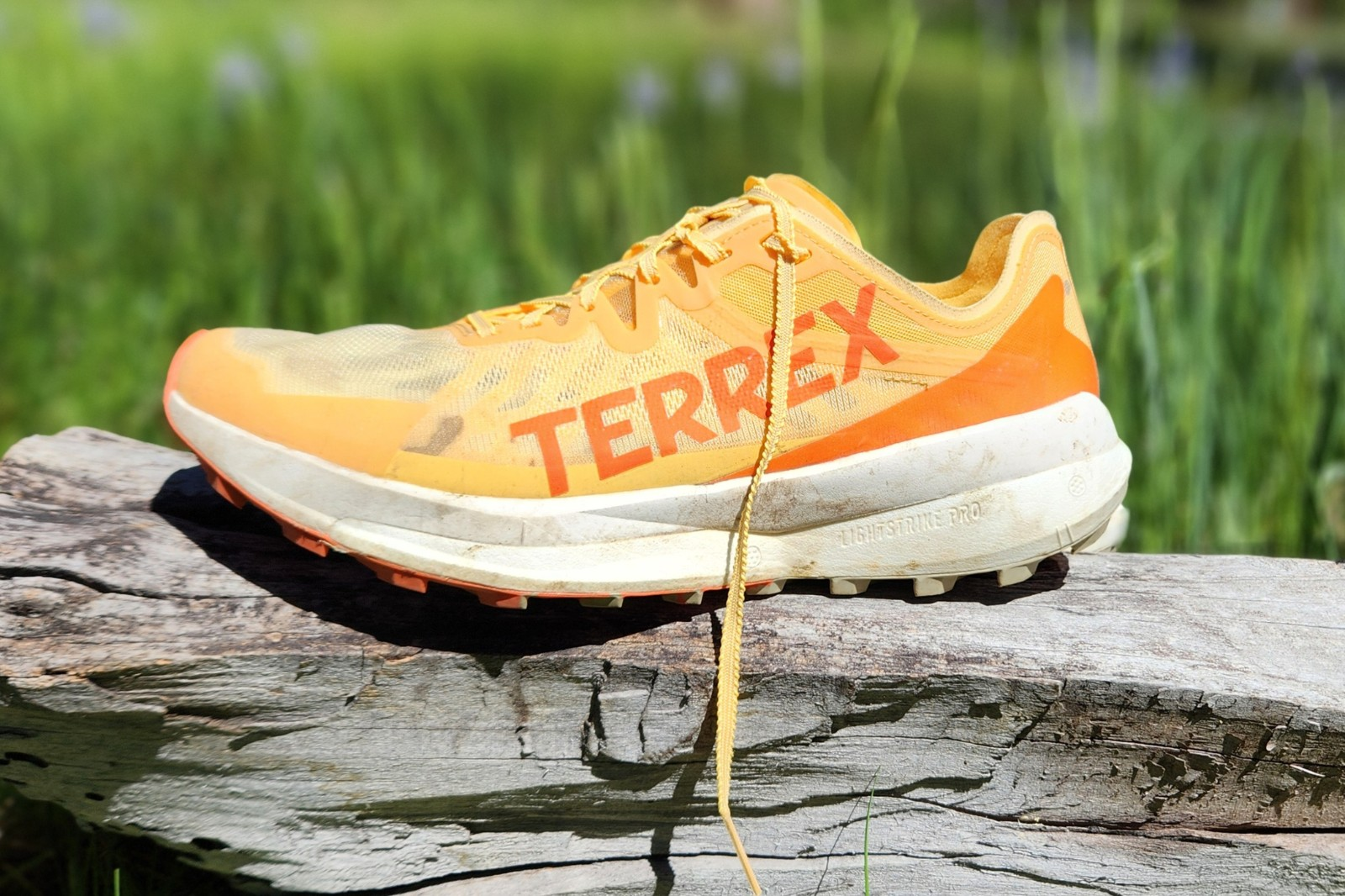 Cac dong san pham chinh cua Adidas Terrex