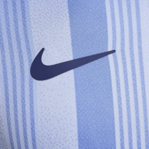 Ao Nike Tottenham Hotspur 24/25 Stadium Away 'Blue' FN8788-480