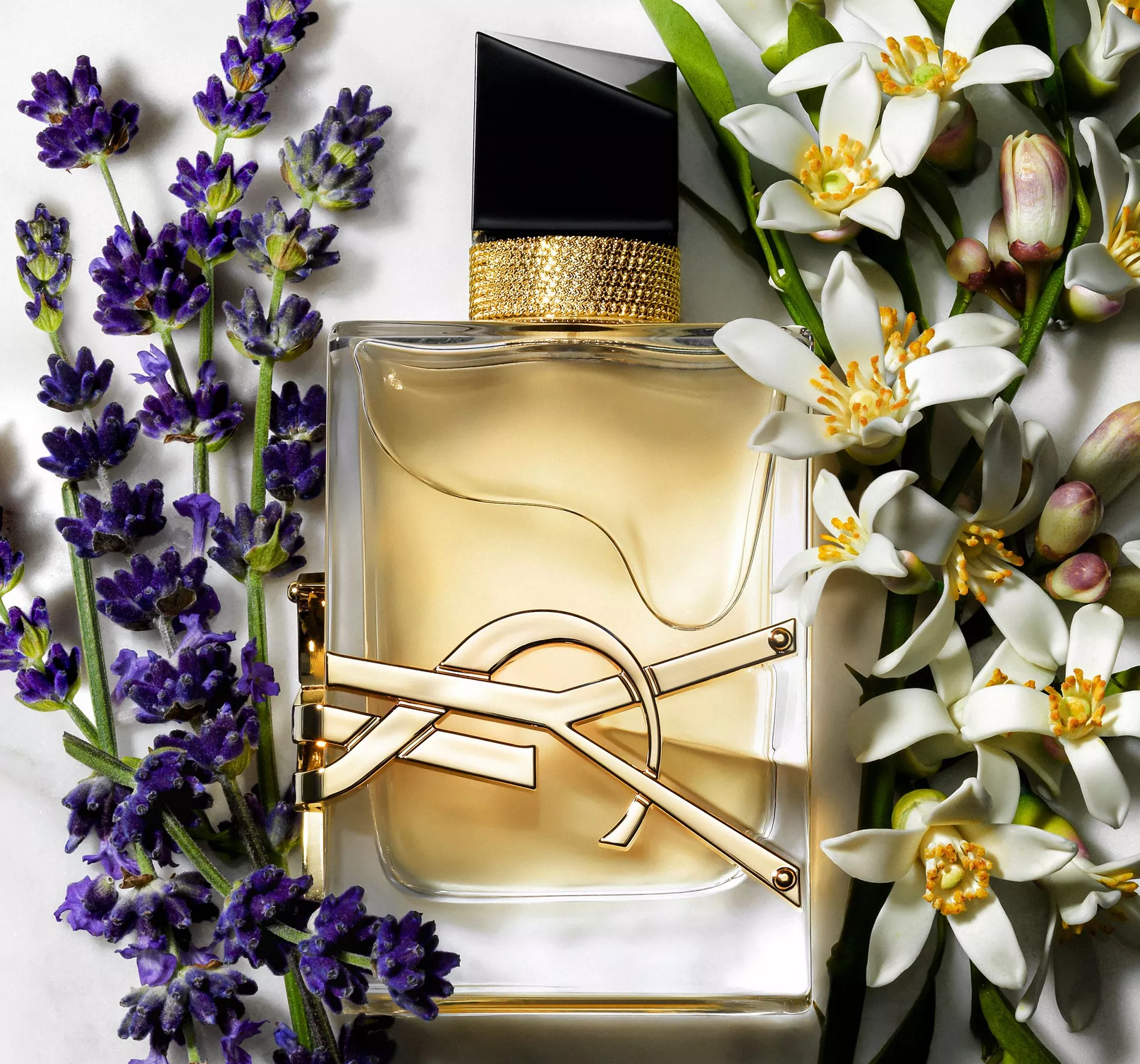 Hinh anh 5: 6 lua chon nuoc hoa hoan hao de ban toa sang trong mua thu