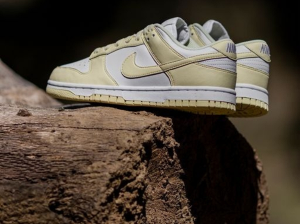 Giay Nike Dunk Low Next Nature 'Alabaster' DD1873-106