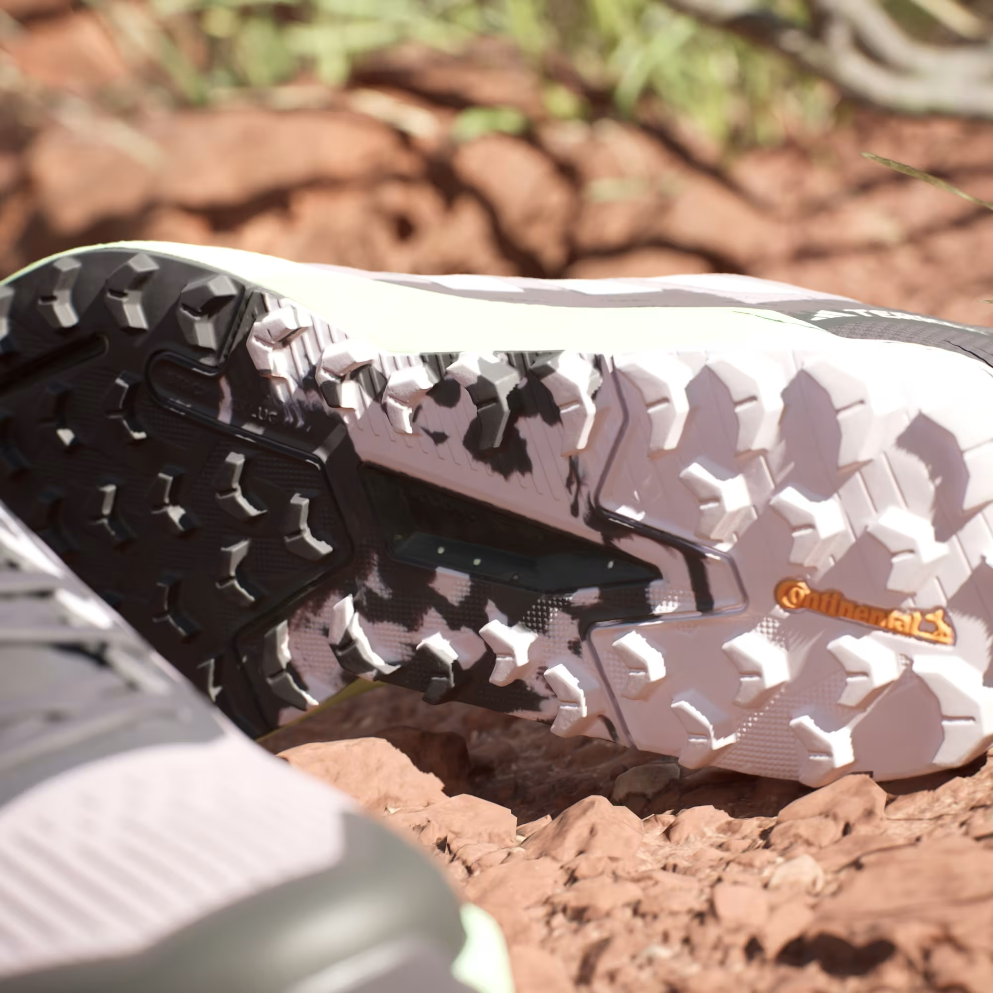 Giay Adidas Terrex Agravic Flow 2.0 'Preloved Fig' ID2504