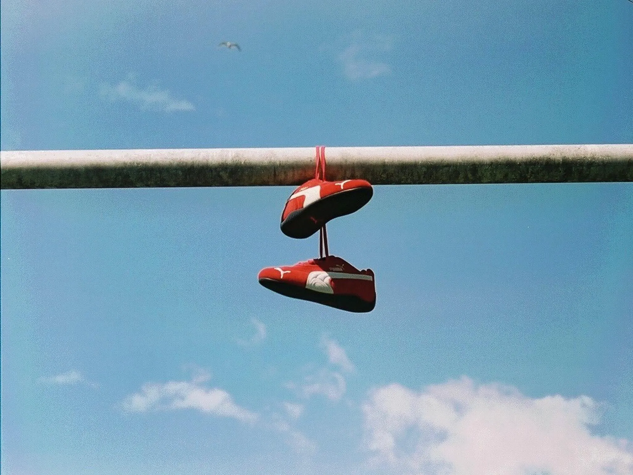 Hinh anh 3: Nhung diem noi bat an tuong nhat cua Puma Speedcat OG