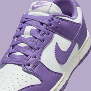 Giay Nike Dunk Low 'Raspberry' DD1873-108