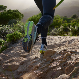 Giay Adidas Terrex Soulstride Flow GTX 'Wonder Silver' ID6715