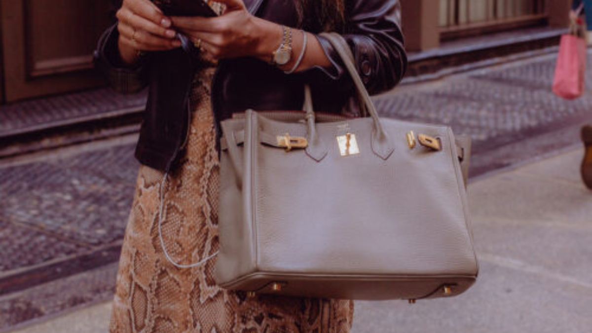 Sưu tầm túi Birkin: Hướng dẫn chi tiết cho người mới bắt đầu Hinh anh 1: Suu tam tui Birkin: Huong dan chi tiet cho nguoi moi bat dau