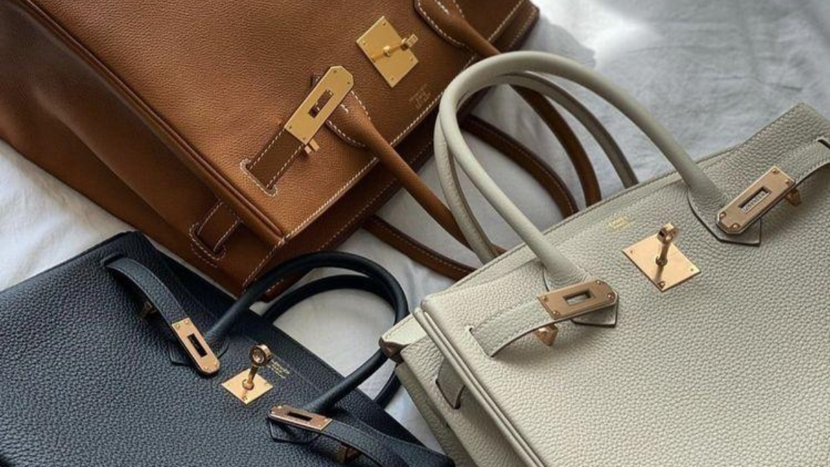 Sưu tầm túi Birkin: Hướng dẫn chi tiết cho người mới bắt đầu Hinh anh 9: Suu tam tui Birkin: Huong dan chi tiet cho nguoi moi bat dau