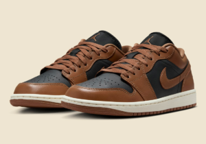 Giay Nike Air Jordan 1 Low 'Archaeo Brown' DC0774-021