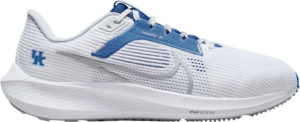 Giay Nike Air Zoom Pegasus 40 'Kentucky' DZ5986-100