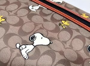 Tui Coach X Peanuts In Signature Canvas 'Snoopy' 5734-QBE7V
