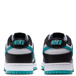Giay Nike Dunk Low 'Black Dusty Cactus' DV0833-109