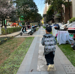 Balo Burberry Logo Checkerboard 'Blue' 80485581