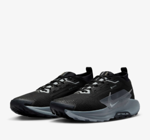 Giay Nike Pegasus Trail 5 GORE-TEX 'Black Grey' FQ0908-001