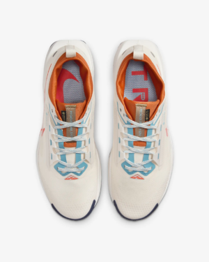 Giay Nike Pegasus Trail 5 GORE-TEX 'Phantom Vintage' FQ0908-003