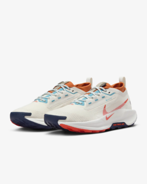 Giay Nike Pegasus Trail 5 GORE-TEX 'Phantom Vintage' FQ0908-003