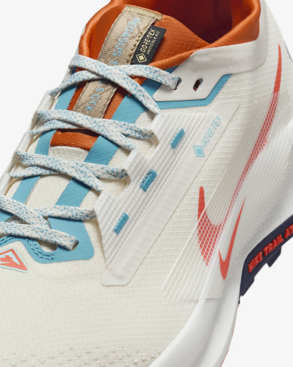 Giay Nike Pegasus Trail 5 GORE-TEX 'Phantom Vintage' FQ0908-003