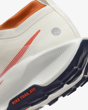 Giay Nike Pegasus Trail 5 GORE-TEX 'Phantom Vintage' FQ0908-003