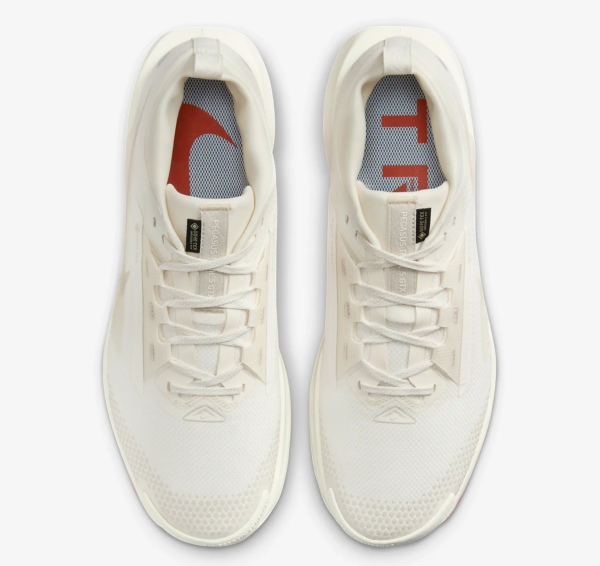 Giay Nike Pegasus Trail 5 GORE-TEX 'Sail Picante Red' FQ0908-100
