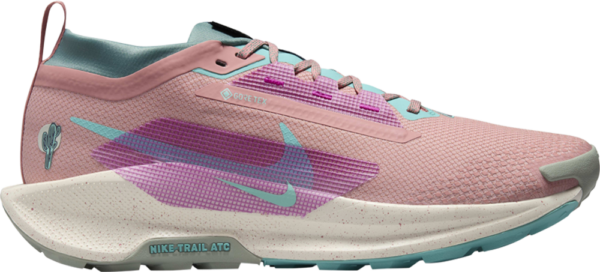 Giay Nike Pegasus Trail 5 GORE-TEX 'Red Stardust' FQ0908-600