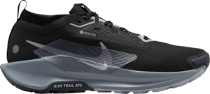 Giay Nike Pegasus Trail 5 GORE-TEX 'Black Grey' FQ0908-001