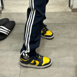 Giay Nike Dunk Low 'Reverse Goldenrod' FZ4618-001