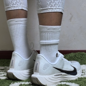 Giay Nike Pegasus Plus 'Sail Orewood Anthracite' FQ7262-100