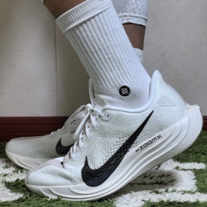 Giay Nike Pegasus Plus 'Sail Orewood Anthracite' FQ7262-100