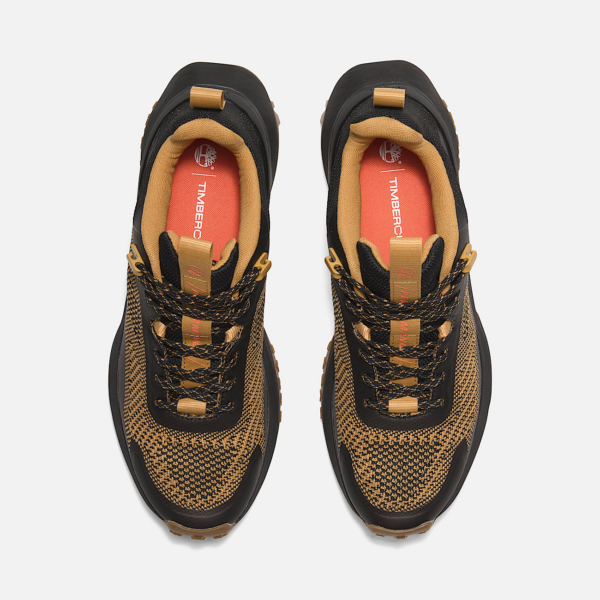 Giay Timberland Motion Access Low 'Brown' TB0A6DJKENP