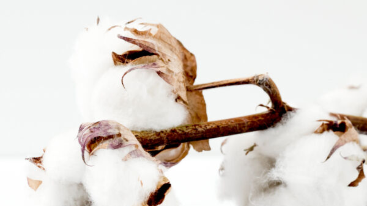 Hinh anh 8: ASICS kien tao tuong lai xanh: Con duong ben vung