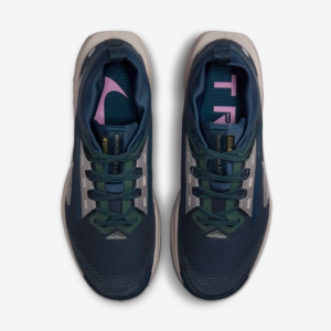 Giay Nike Pegasus Trail 5 Gore-Tex 'Black Wolf Grey' FQ0912-400