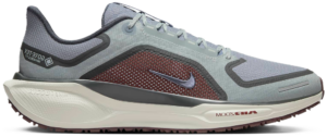 Giay Nike Pegasus 41 Gore-Tex 'Light Pumice' FQ1356-003