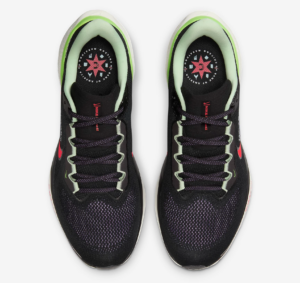 Giay Nike Air Zoom Pegasus 41 'Chicago' HJ9062-010