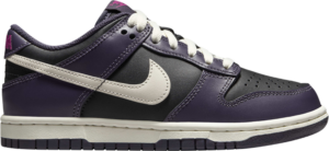 Giay Nike Dunk Low GS 'Dark Raisin' FB9109-003
