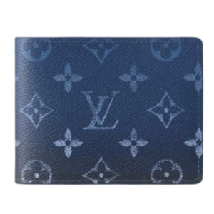 Vi Louis Vuitton Multiple 'Blue' M11547