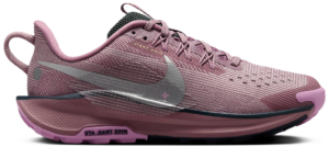 Giay Nike Pegasus Trail 5 GS 'Plum Dust' FV5638-500