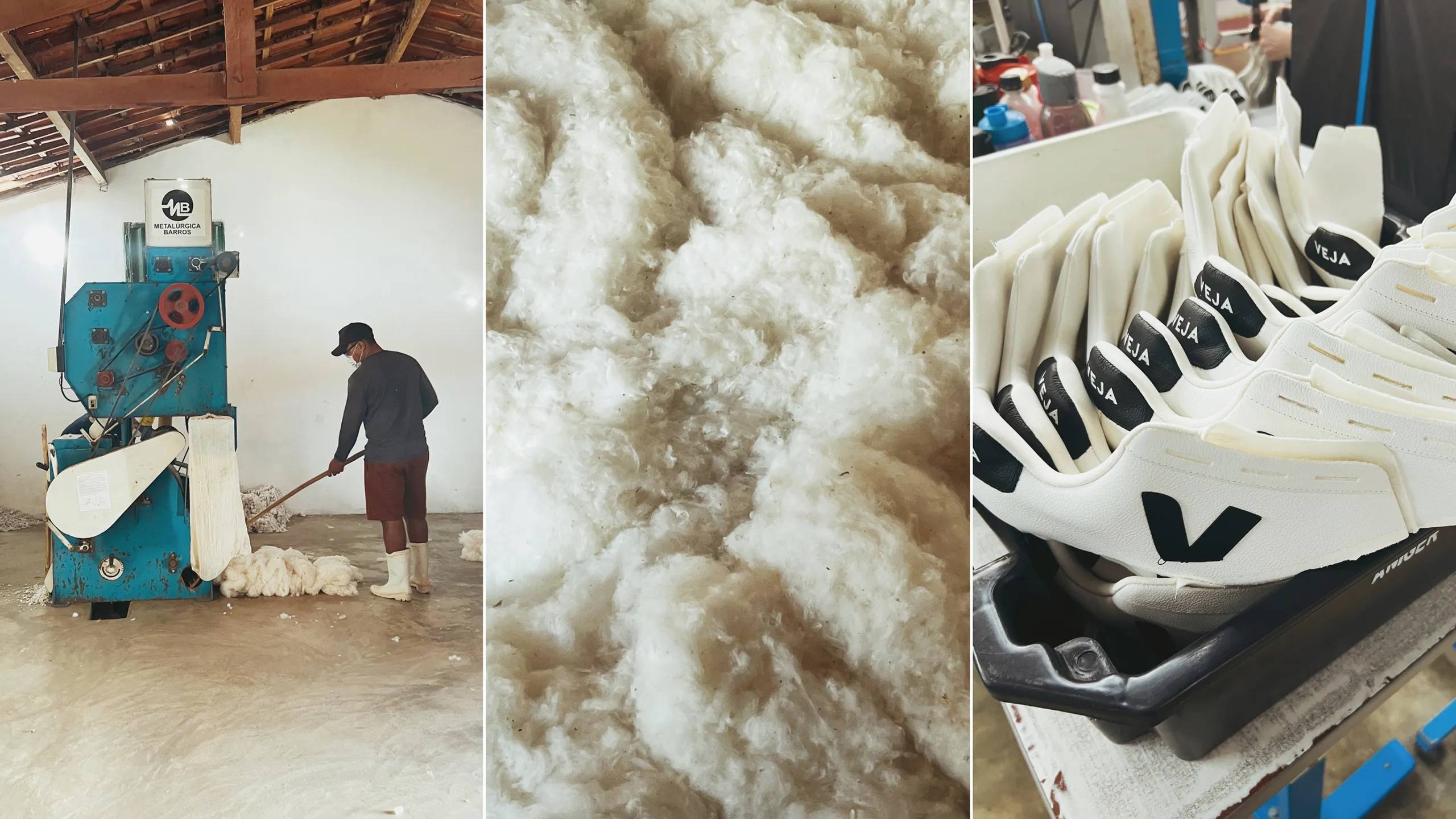 Hinh anh 3: Veja va chien luoc danh chiem thi truong Chau Au