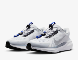 Giay Nike Air Zoom Pegasus 41 EasyOn Pure 'Platinum' FQ7837-003