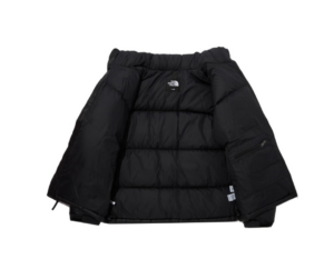 Ao The North Face Eco Nuptse 'Black' NJ1DP75A