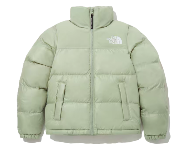 Ao The North Face On Ball Jacket 'Green' NJ3NP85E